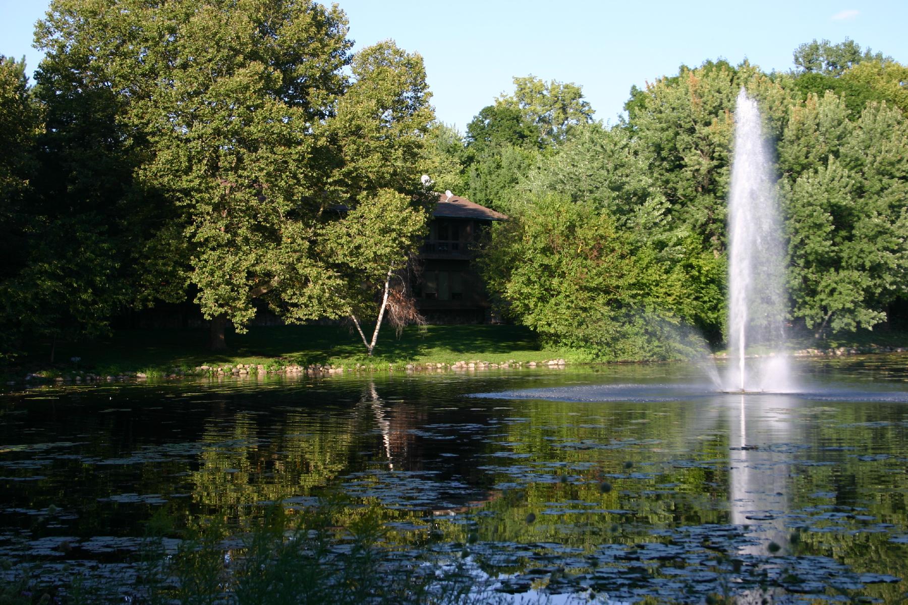 Do You Know How To Protect Your Pond?