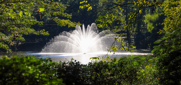 How to Choose the Perfect Pond Pump for Your Garden Oasis