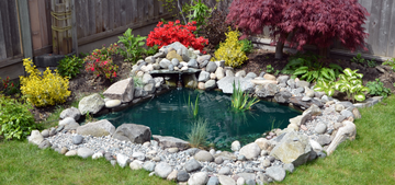 Top 5 Pond Pumps for Crystal Clear Water in Your Backyard