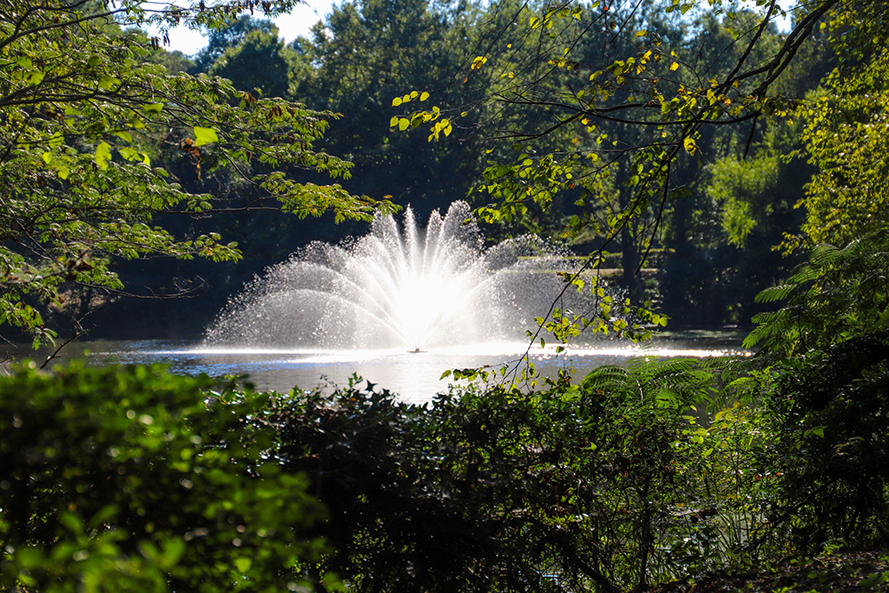 Why A Lake Fountain Installation is Key for Water Longevity