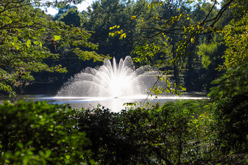 Why A Lake Fountain Installation is Key for Water Longevity