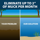 Airmax MuckAway Pond Cleaner and Muck Remover for Ponds