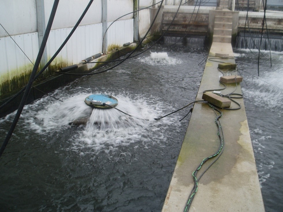 Aquarian Quantum Series High-Performance Surface Aerator