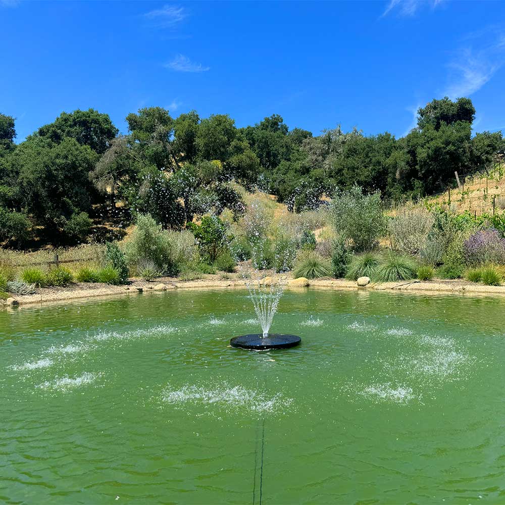 Classic Series Pond Fountain