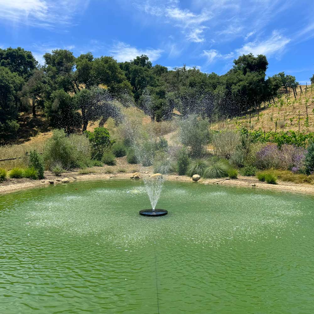 Classic Series Pond Fountain