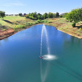 Eco Series 1/2 HP Pond Fountain, 4 Spray Patterns - 115V