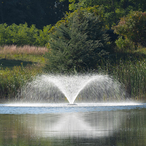 Kasco VFX Series Aerating Display Fountain for Ponds and Lakes