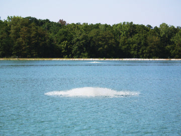 Aquarian Quantum 5 HP Surface Aerator