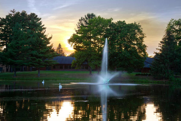 Scott Aerator - Skyward Fountain for Residential and Commercial Ponds