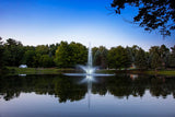 Scott Aerator - Skyward Fountain for Residential and Commercial Ponds