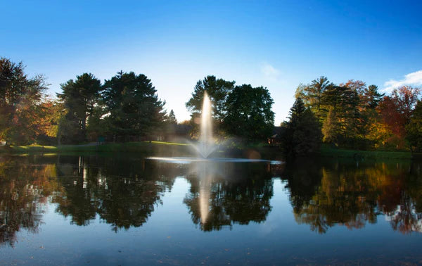 Scott Aerator - Skyward Fountain for Residential and Commercial Ponds