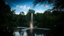Scott Aerator - Clover Fountain for Residential and Commercial Ponds