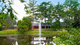 Scott Aerator - Great Lakes Fountain for Residential and Commercial Ponds