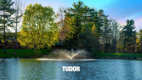 Scott Aerator - Great Lakes Fountain for Residential and Commercial Ponds