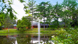 Scott Aerator - Gusher Fountain for Residential and Commercial Ponds of Various Sizes